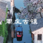 薛猫影像