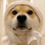 欣有灵犀