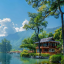 黑白海盗