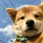 熟悉的话