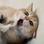 搞大事
