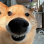 gandehaoya66