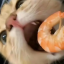 濡年xxx
