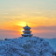 延安新华鹰带拍全国