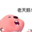 日子杂铺