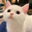 醉清风丨