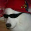 ozkla