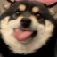 酒酒酒酒阿