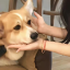日常集