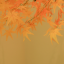 时间拍摄师