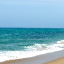 海海海