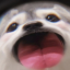 三水番